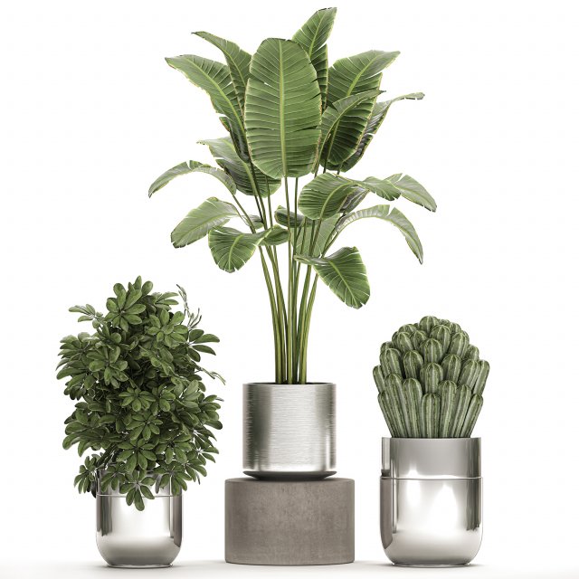 ornamental plants in a chrome flowerpot 788 3D Model .c4d .max .obj .3ds .fbx .stl .blend 