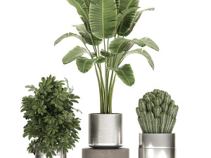 ornamental plants in a chrome flowerpot 788 3D Model
