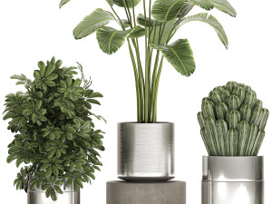 ornamental plants in a chrome flowerpot 788 3D Model