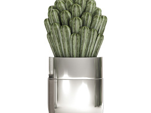 ornamental plants in a chrome flowerpot 788 3D Model