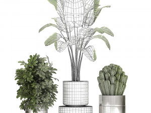 ornamental plants in a chrome flowerpot 788 3D Model