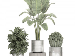 ornamental plants in a chrome flowerpot 788 3D Model