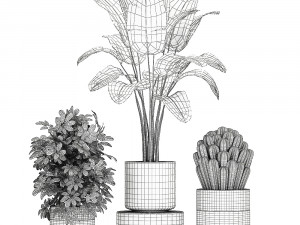 ornamental plants in a chrome flowerpot 788 3D Model
