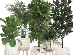 houseplants in a white baskets rattan for the interior 789 3D Model