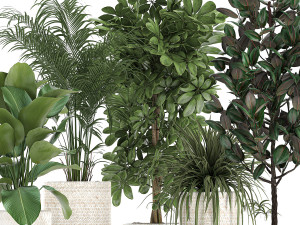 houseplants in a white baskets rattan for the interior 789 3D Model