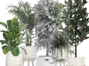 houseplants in a white baskets rattan for the interior 789 3D Model