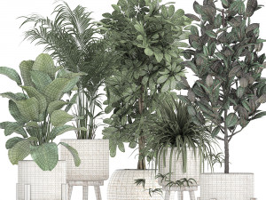 houseplants in a white baskets rattan for the interior 789 3D Model