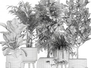 houseplants in a white baskets rattan for the interior 789 3D Model
