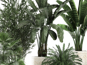 houseplants in a white baskets rattan for the interior 790 3D Model