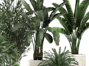 houseplants in a white baskets rattan for the interior 790 3D Model