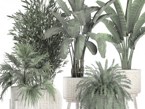 houseplants in a white baskets rattan for the interior 790 3D Model