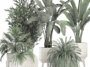 houseplants in a white baskets rattan for the interior 790 3D Model