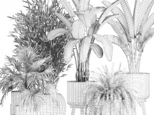 houseplants in a white baskets rattan for the interior 790 3D Model