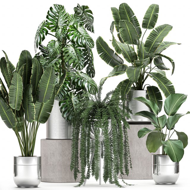 ornamental plants in a chrome flowerpot 791 3D 模型 .c4d .max .obj .3ds .fbx .stl .blend