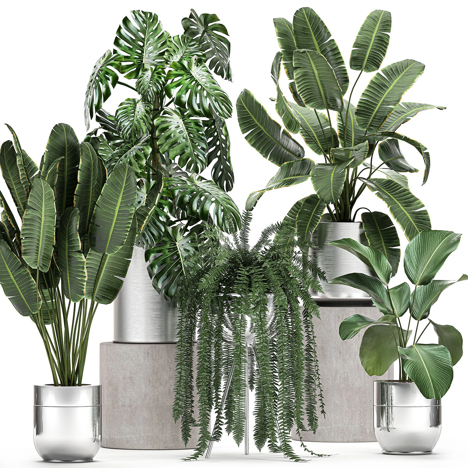 ornamental plants in a chrome flowerpot 791 3D Model .c4d .max .obj .3ds .fbx .stl .blend 