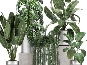 plantes ornementales dans un pot de fleurs chrom&eacute; 791 Modèle 3D