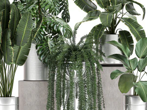 ornamental plants in a chrome flowerpot 791 3D Model