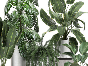 ornamental plants in a chrome flowerpot 791 3D 模型