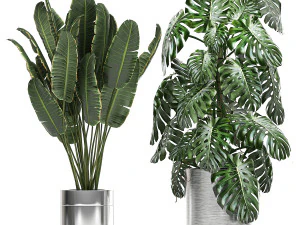 ornamental plants in a chrome flowerpot 791 3D Model