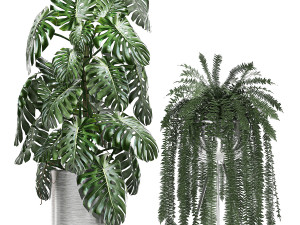 ornamental plants in a chrome flowerpot 791 3D 模型