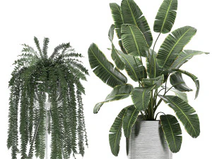 ornamental plants in a chrome flowerpot 791 3D Model