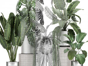ornamental plants in a chrome flowerpot 791 3D Model