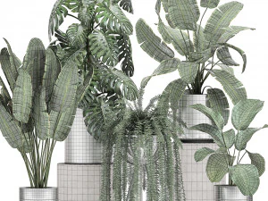 ornamental plants in a chrome flowerpot 791 3D Model