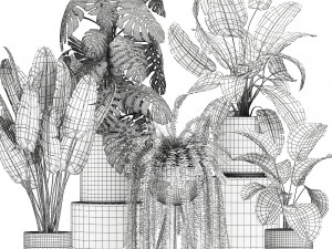 ornamental plants in a chrome flowerpot 791 3D 模型
