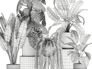 ornamental plants in a chrome flowerpot 791 3D Model