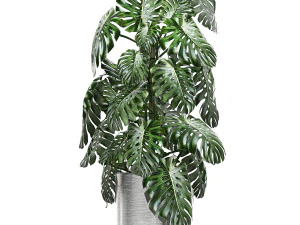 ornamental plants in a chrome flowerpot 791 3D Model