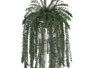 ornamental plants in a chrome flowerpot 791 3D Model