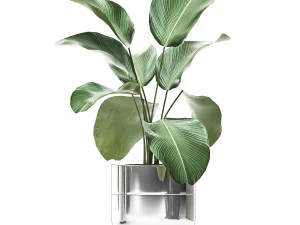 ornamental plants in a chrome flowerpot 791 3D Model