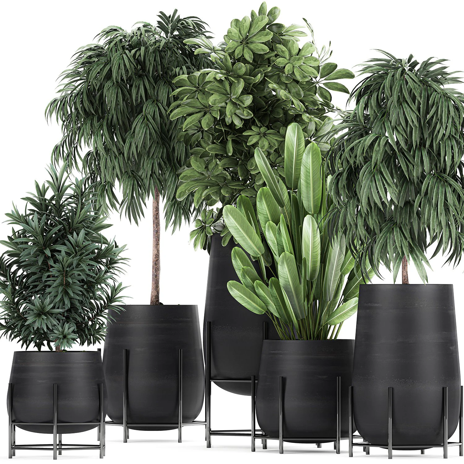collection of decorative plants in flowerpots 792 3D Model .c4d .max .obj .3ds .fbx .stl .blend 