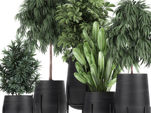 collection of decorative plants in flowerpots 792 3D 모델