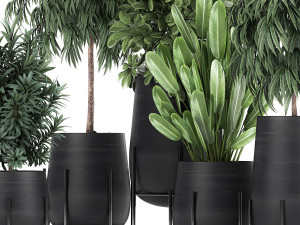 collection of decorative plants in flowerpots 792 3D 模型