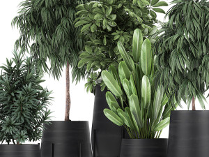 collection of decorative plants in flowerpots 792 3D 模型