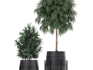 collection of decorative plants in flowerpots 792 3D 模型