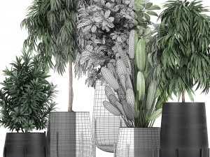 collection of decorative plants in flowerpots 792 3D 模型