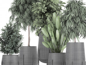 collection of decorative plants in flowerpots 792 3D 模型