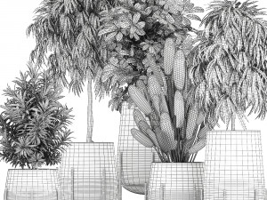collection of decorative plants in flowerpots 792 3D 模型