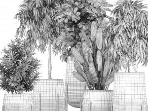 collection of decorative plants in flowerpots 792 3D Model