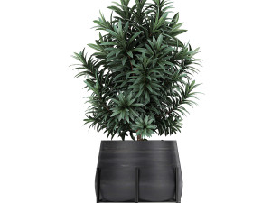 collection of decorative plants in flowerpots 792 3D 模型