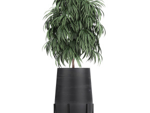 collection of decorative plants in flowerpots 792 3D 模型