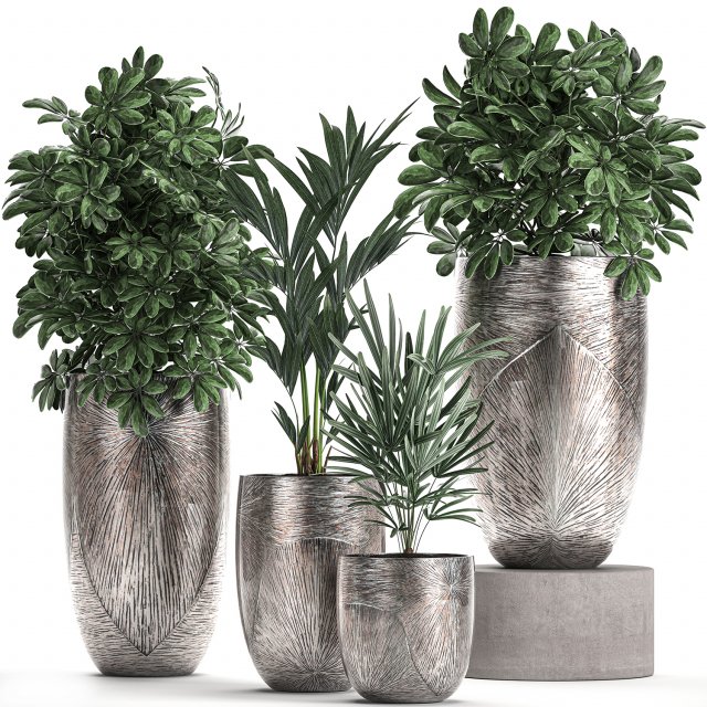 collection of decorative plants in luxury flowerpots 793 Modelo 3D .c4d .max .obj .3ds .fbx .stl .blend