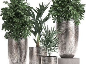 collection of decorative plants in luxury flowerpots 793 Modello 3D