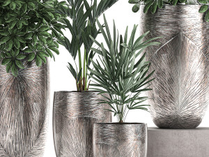 collection of decorative plants in luxury flowerpots 793 Modelo 3D