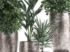 collection of decorative plants in luxury flowerpots 793 Modelo 3D