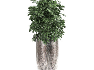 collection of decorative plants in luxury flowerpots 793 Modelo 3D