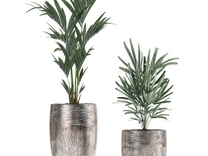 collection of decorative plants in luxury flowerpots 793 Modelo 3D