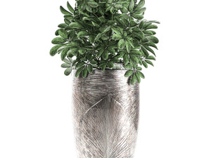 collection of decorative plants in luxury flowerpots 793 Modelo 3D